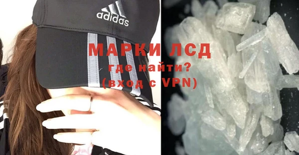 ECSTASY Богданович
