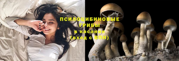 кокс Богородск