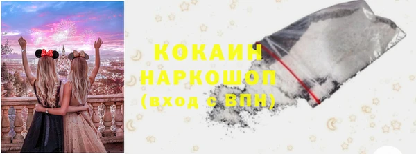 ECSTASY Богданович