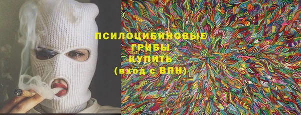 гидропоника Богородицк