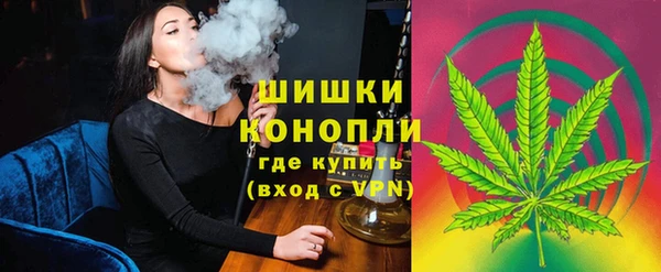 ECSTASY Богданович