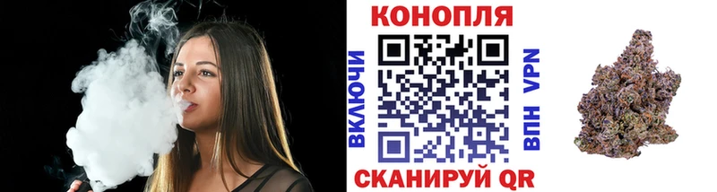 мега сайт  Старица  Каннабис гибрид 